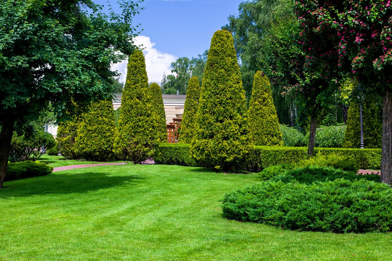 iStock-1325904777.jpg